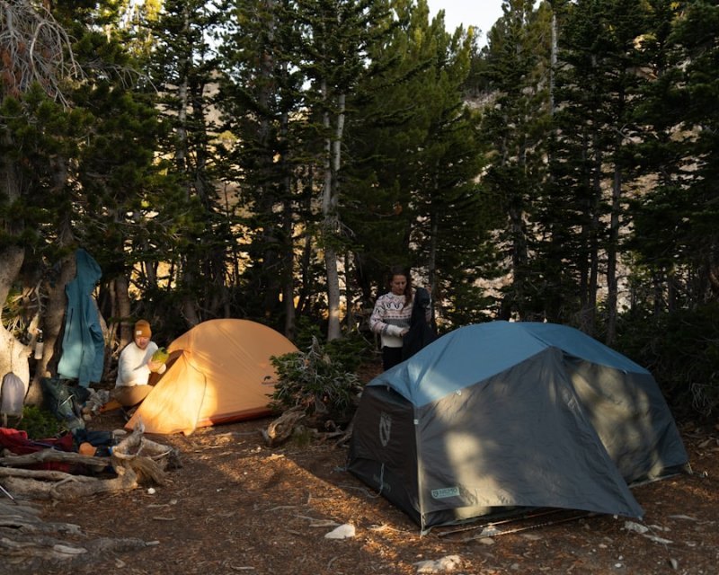 Лучшее снаряжение для кемпинга 2026: полный гид