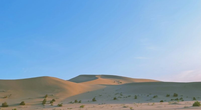 Экспедиция в пустыне